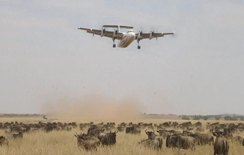 7 Days Kenya Fly-in Safari - Samburu, Masai Mara and Amboseli